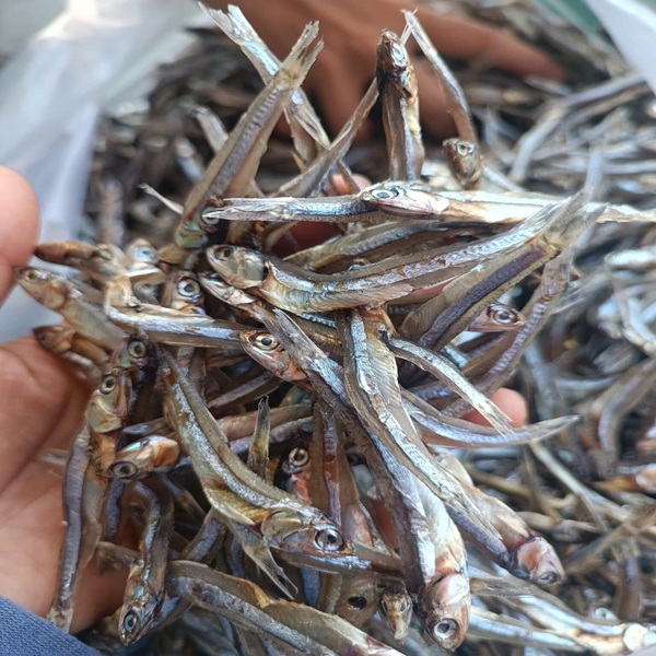 khô cá cơm phan thiết 010