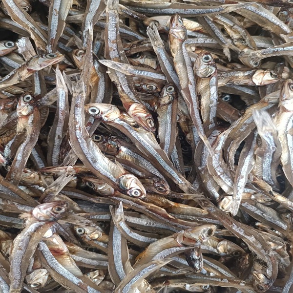 khô cá cơm phan thiết 013